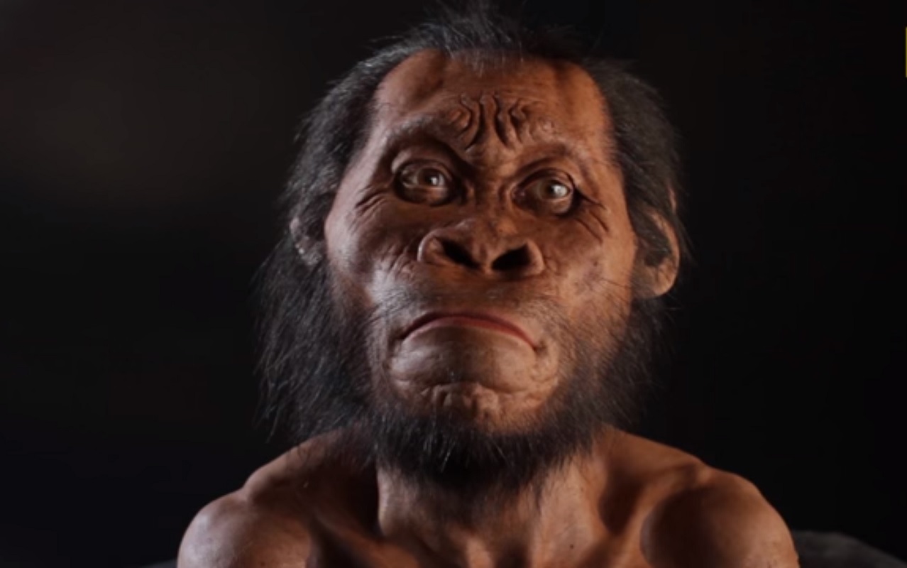 Gambar Manusia Purba Di Manusia Purba Di Afrika - 50+ Koleksi Gambar