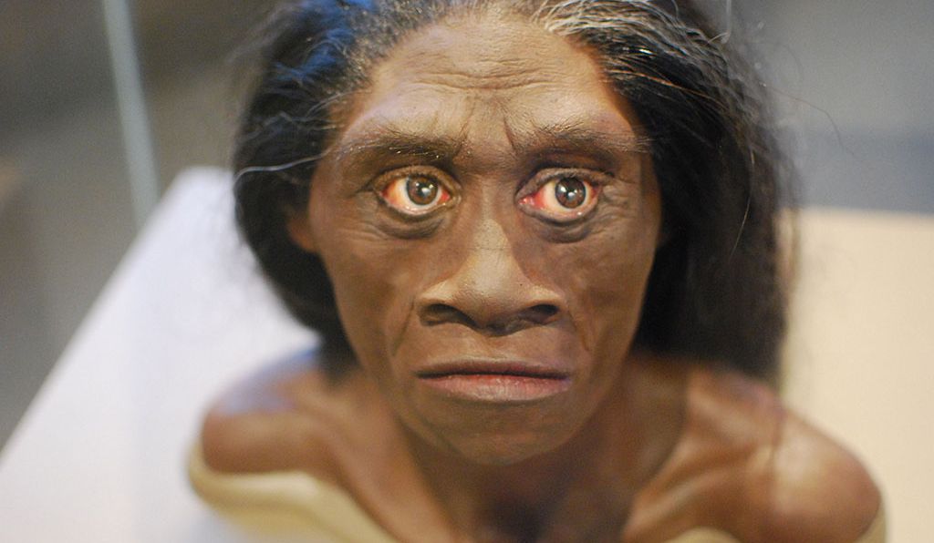 Detail Gambar Manusia Purba Homo Nomer 12