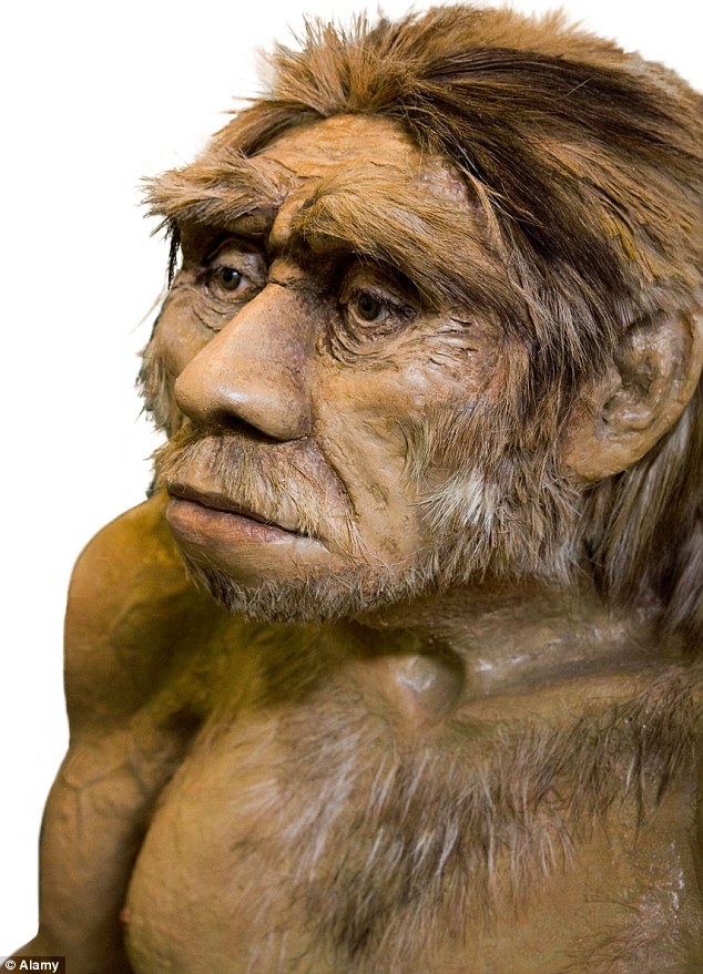 Detail Gambar Manusia Purba Homo Nomer 20