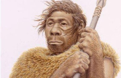 Detail Gambar Manusia Purba Homo Nomer 32