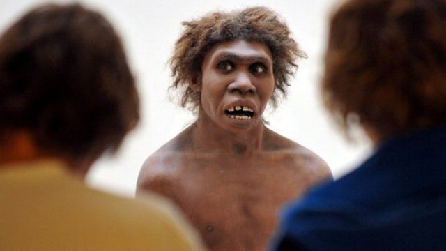 Detail Gambar Manusia Purba Homo Nomer 40