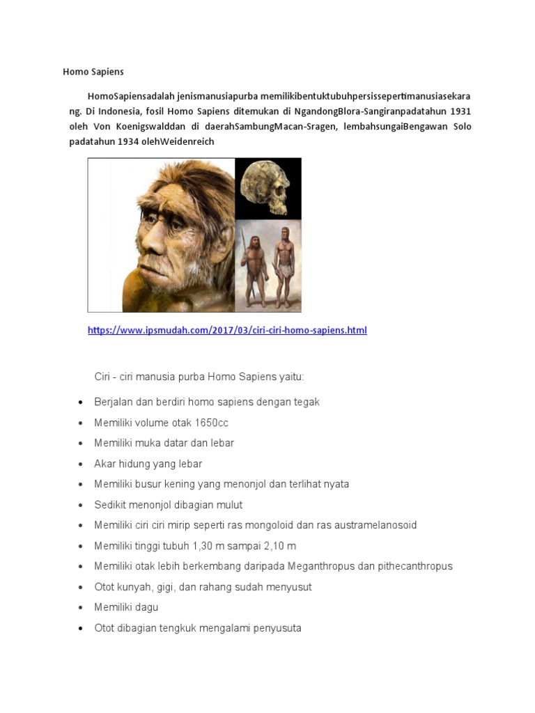 Detail Gambar Manusia Purba Homo Nomer 49