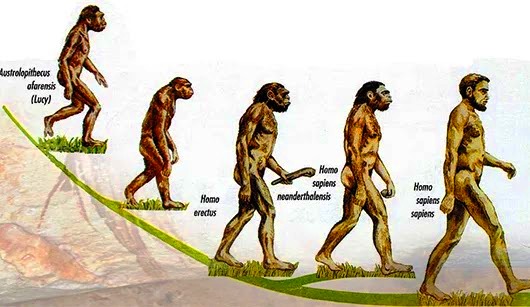 Detail Gambar Manusia Purba Homo Sapiens Nomer 18