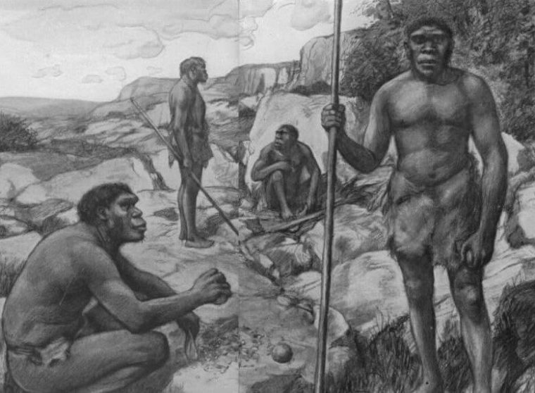 Detail Gambar Manusia Purba Homo Sapiens Nomer 19