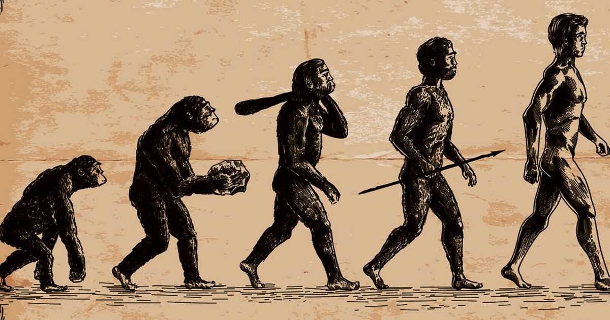 Detail Gambar Manusia Purba Homo Sapiens Nomer 28