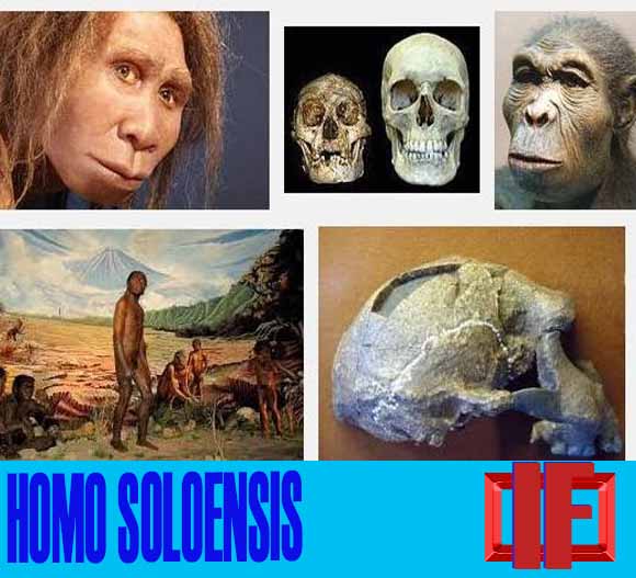 Detail Gambar Manusia Purba Homo Sapiens Nomer 37