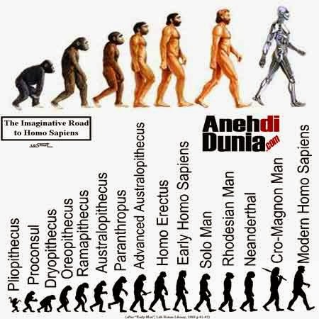 Detail Gambar Manusia Purba Homo Sapiens Nomer 41