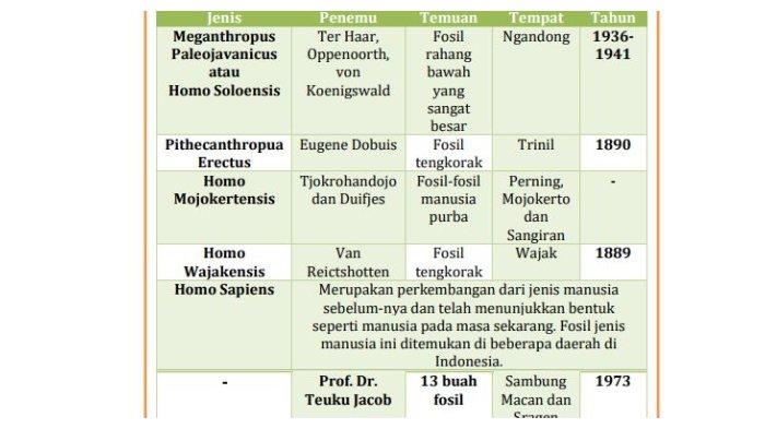 Detail Gambar Manusia Purba Meganthropus Nomer 47