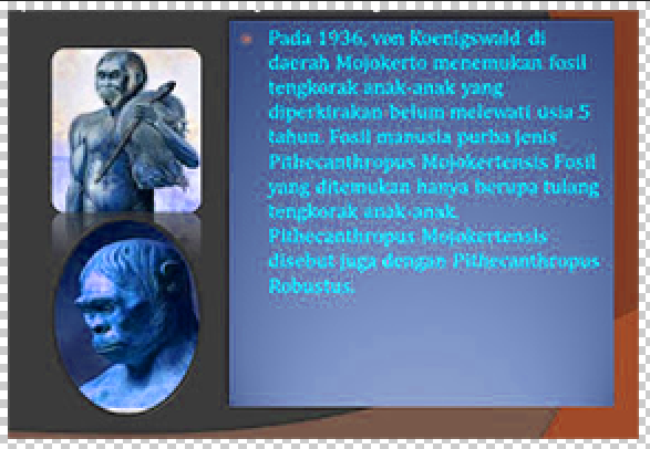 Detail Gambar Manusia Purba Pithecanthropus Mojokertensis Nomer 20