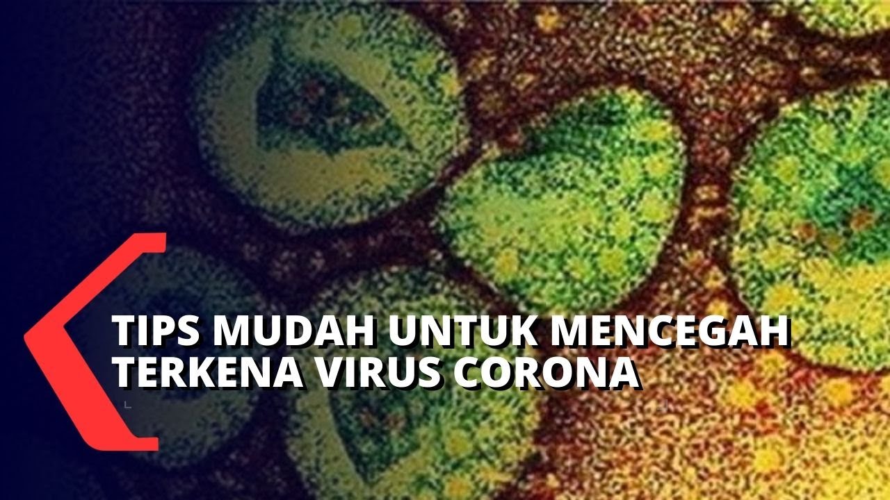 Detail Gambar Manusia Yang Terkena Virus Nomer 35