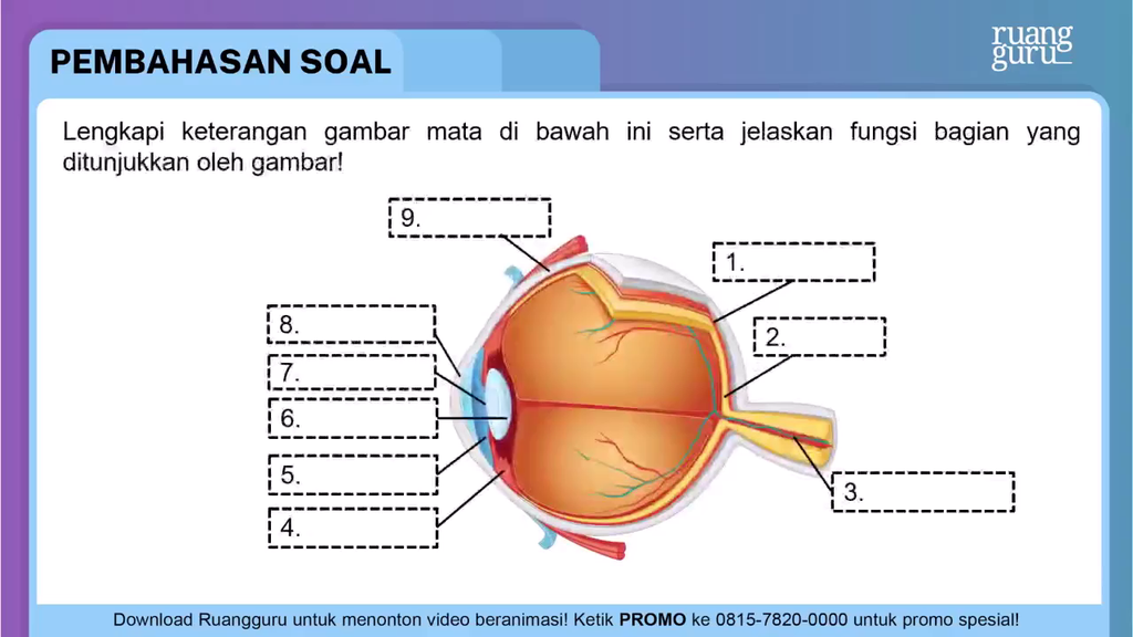 Detail Gambar Mata Beserta Bagiannya Nomer 43