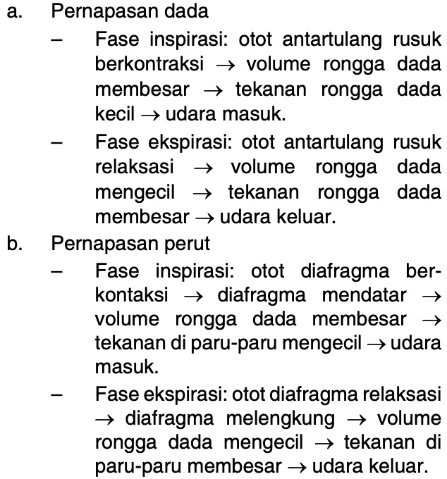 Detail Gambar Mekanisme Pernapasan Dada Pada Manusia Nomer 35