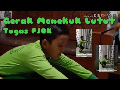 Detail Gambar Menekuk Lutut Nomer 34