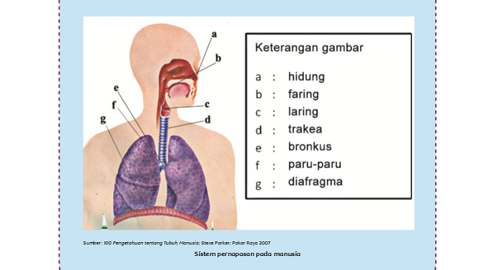 Detail Gambar Menjaga Pernapasan Nomer 8