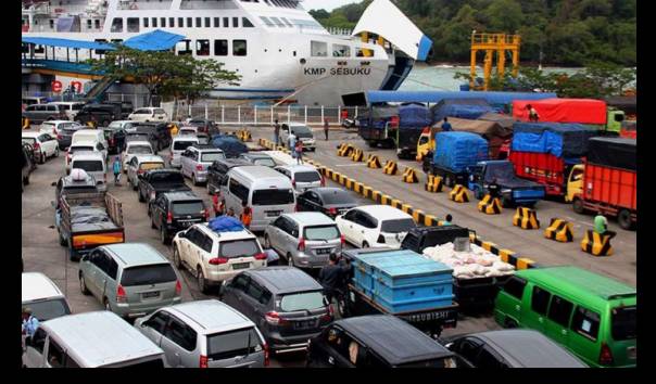 Detail Gambar Merak Untuk Diwarnai Orang Dewasa Nomer 41