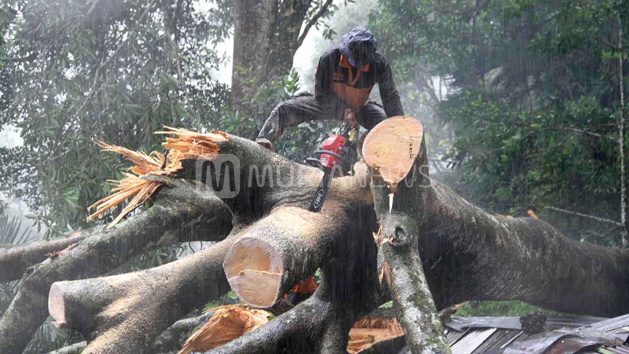 Detail Gambar Mesin Gergaji Beserta Keterangannya Nomer 32