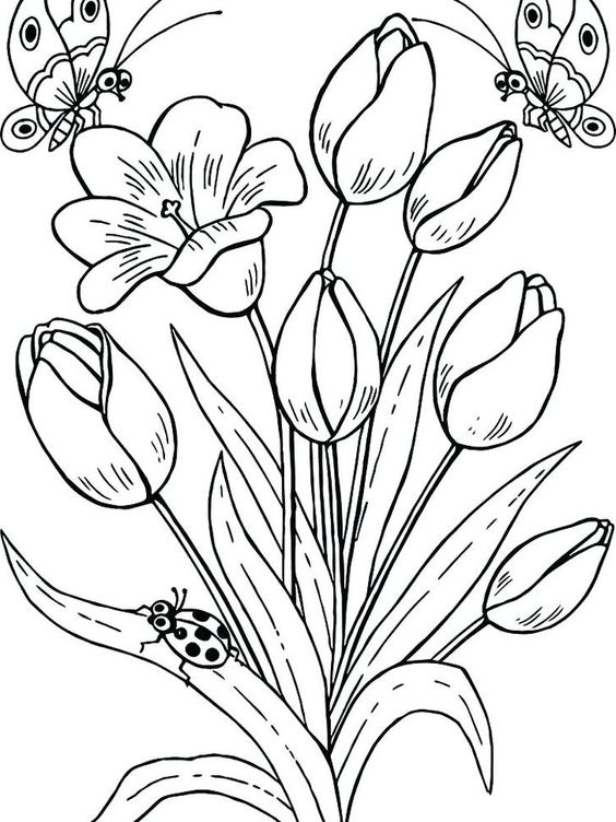 Detail Gambar Mewarnai Bunga Untuk Anak Tk Nomer 28