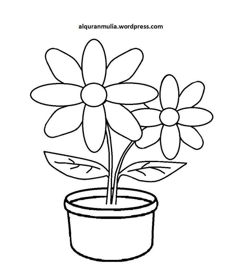 Detail Gambar Mewarnai Bunga Untuk Anak Tk Nomer 5