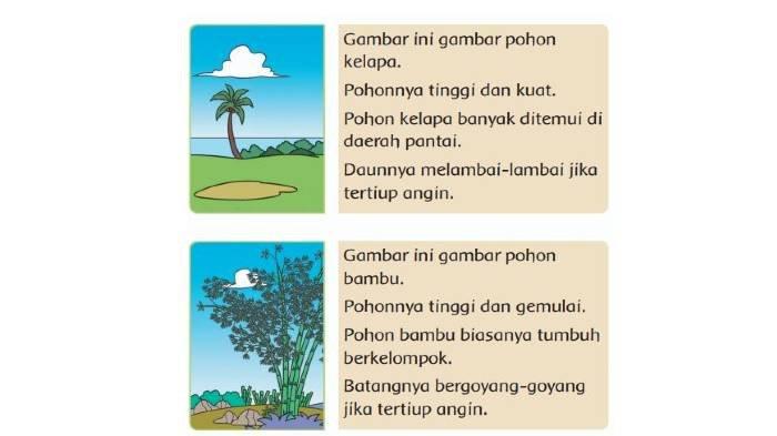 Detail Gambar Mewarnai Pohon Kelapa Tertiup Angin Nomer 24