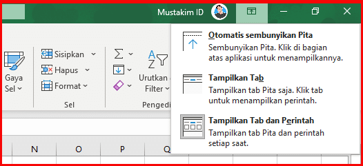 Detail Gambar Microsoft Excel Dan Fungsinya Nomer 48