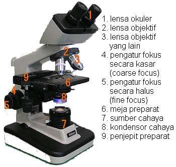 Detail Gambar Mikroskop Beserta Bagian Bagiannya Nomer 22