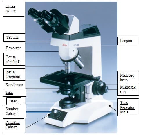 Detail Gambar Mikroskop Beserta Bagian Bagiannya Nomer 35