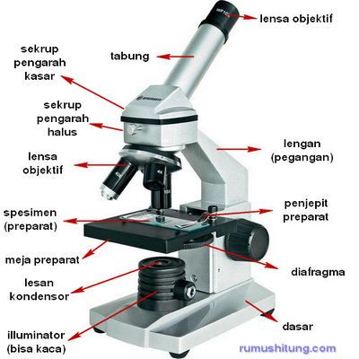 Detail Gambar Mikroskop Beserta Bagian Dan Fungsinya Nomer 15