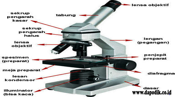 Detail Gambar Mikroskop Beserta Bagian Dan Fungsinya Nomer 17