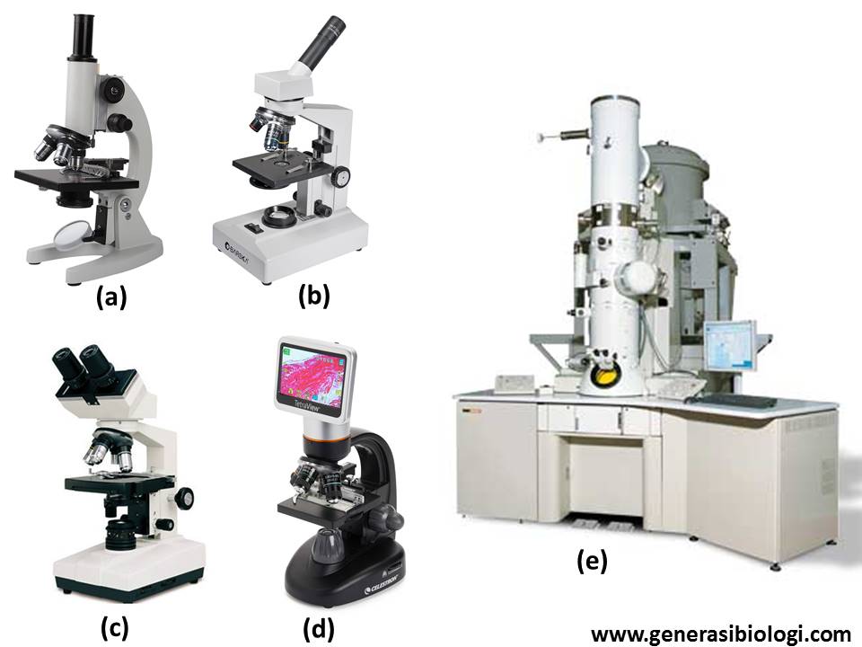 Detail Gambar Mikroskop Cahaya Dan Fungsinya Nomer 39