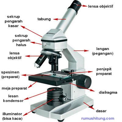 Detail Gambar Mikroskop Cahaya Dan Fungsinya Nomer 6