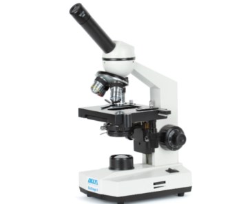 Detail Gambar Mikroskop Cahaya Dan Fungsinya Nomer 43