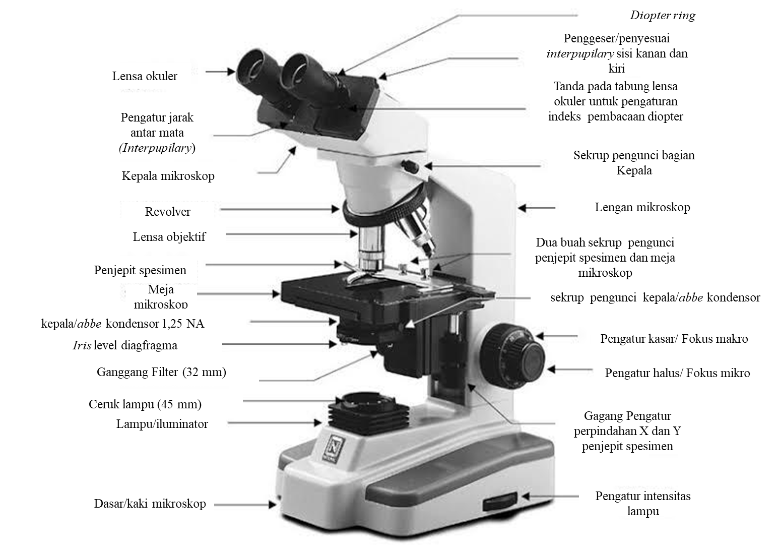 Detail Gambar Mikroskop Cahaya Dan Fungsinya Nomer 9