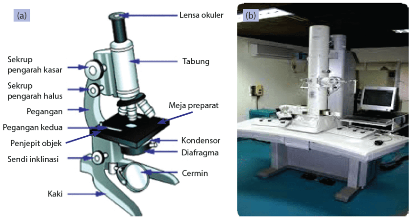 Detail Gambar Mikroskop Cahya Dan Fungsinya Nomer 34