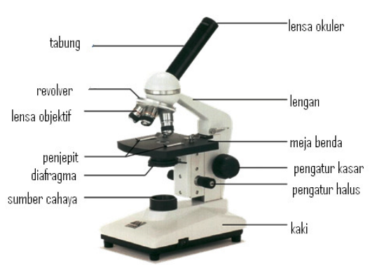 Detail Gambar Mikroskop Elektrik Beserta Gambar Keterangan Dan Fungsinya Nomer 16