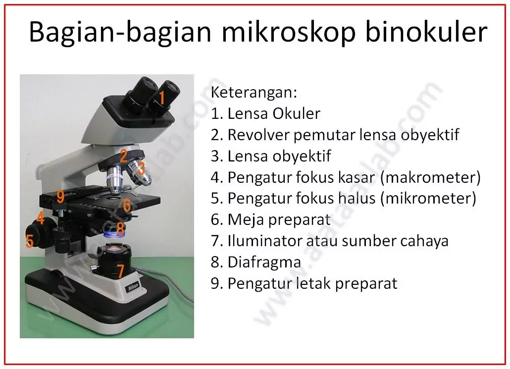 Detail Gambar Mikroskop Elektrik Beserta Gambar Keterangan Dan Fungsinya Nomer 4