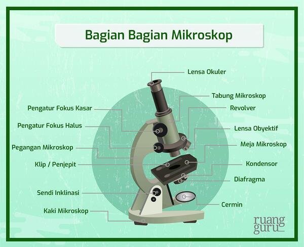 Detail Gambar Mikroskop Elektrik Beserta Gambar Keterangan Dan Fungsinya Nomer 36