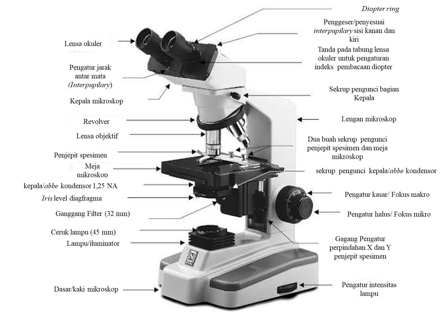 Detail Gambar Mikroskop Elektron Dan Fungsinya Nomer 11