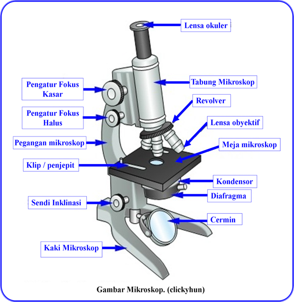 Detail Gambar Mikroskop Elektron Dan Fungsinya Nomer 23