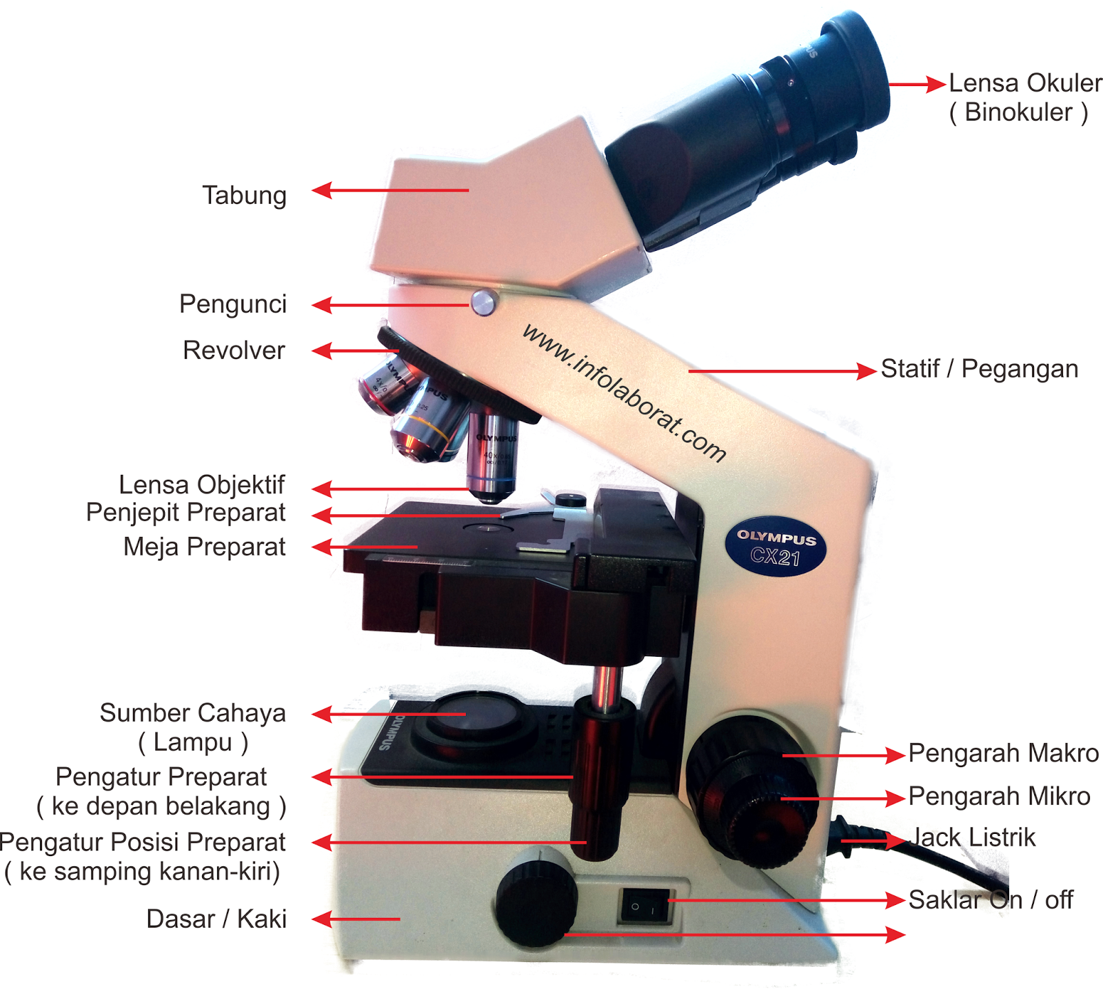 Detail Gambar Mikroskop Elektron Dan Fungsinya Nomer 5