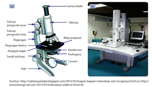 Detail Gambar Mikroskop Elektron Dan Fungsinya Nomer 50