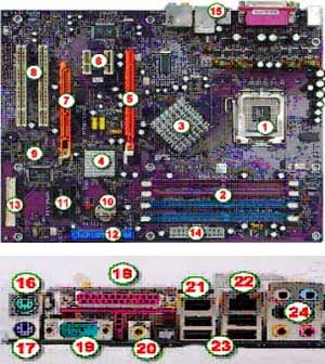 Detail Gambar Motherboard Dan Fungsinya Nomer 16