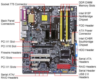 Detail Gambar Motherboard Dan Fungsinya Nomer 7