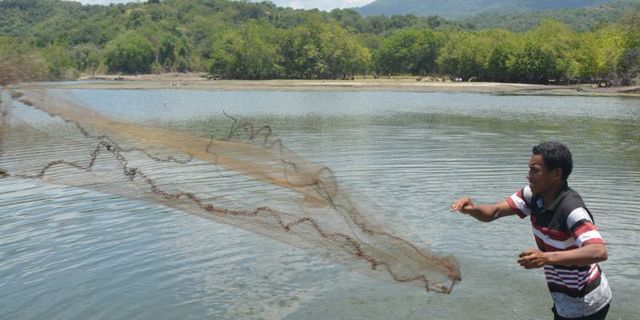 Detail Gambar Nelayan Mencari Ikan Kelas 4 Sd Nomer 35