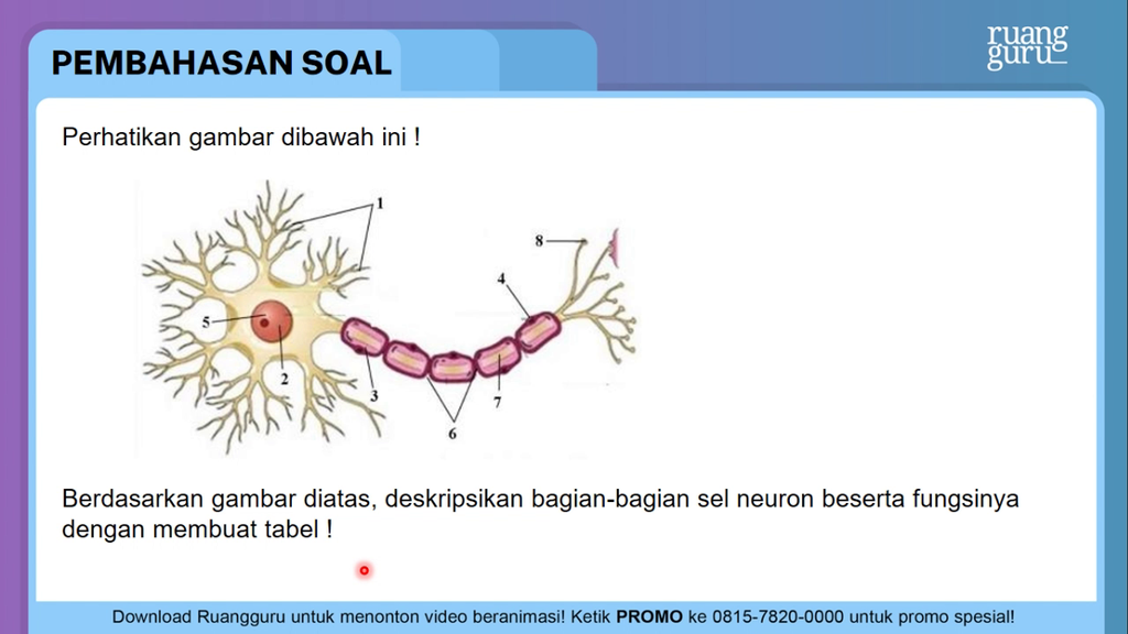 Detail Gambar Neuron Beserta Fungsinya Nomer 32