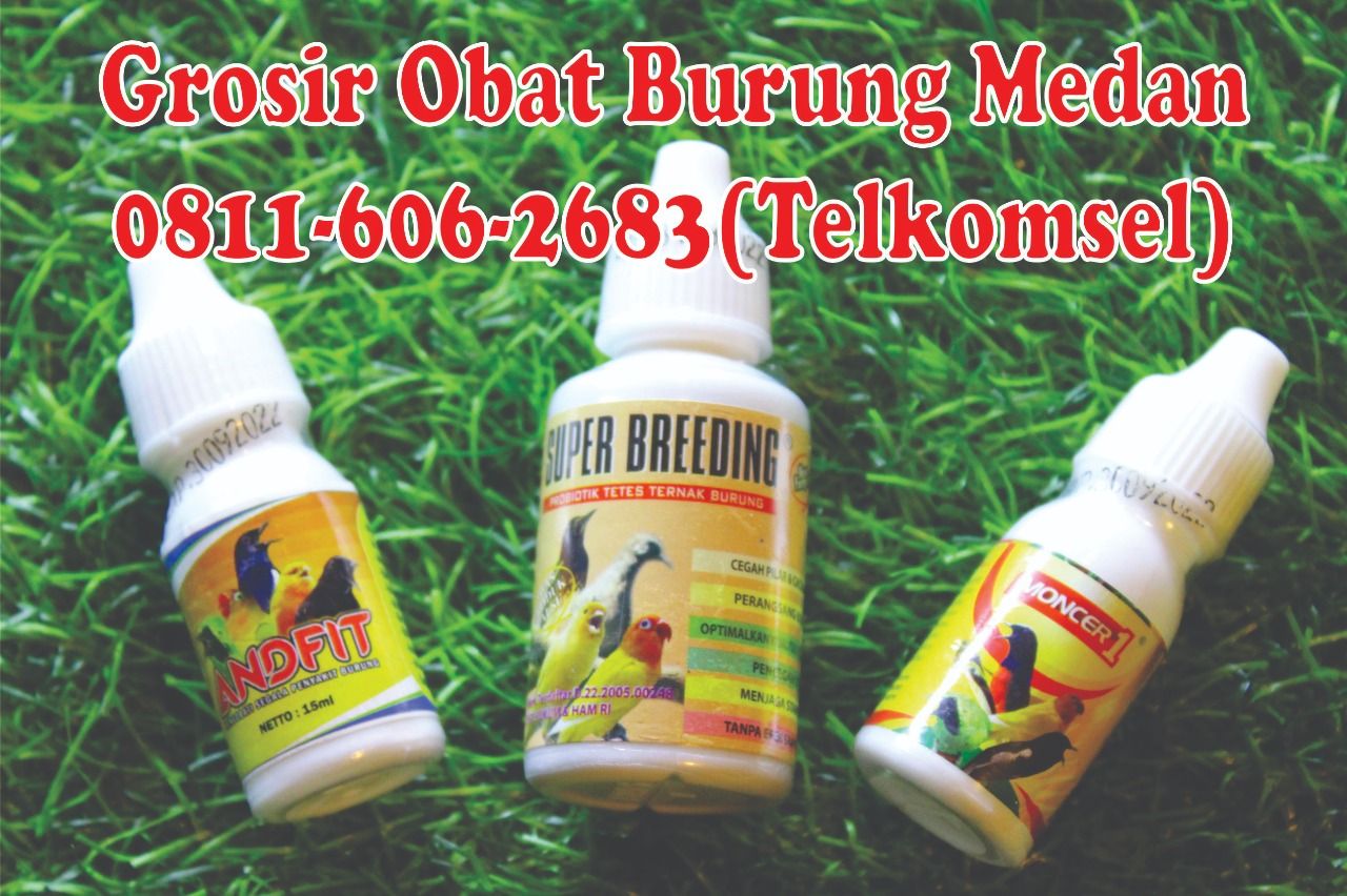 Detail Gambar Obat Alami Untuk Burung Merpati Nomer 16