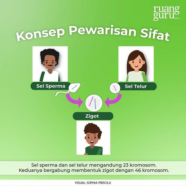 Detail Gambar Orang Dengan Sifat Macam Macam Nomer 4
