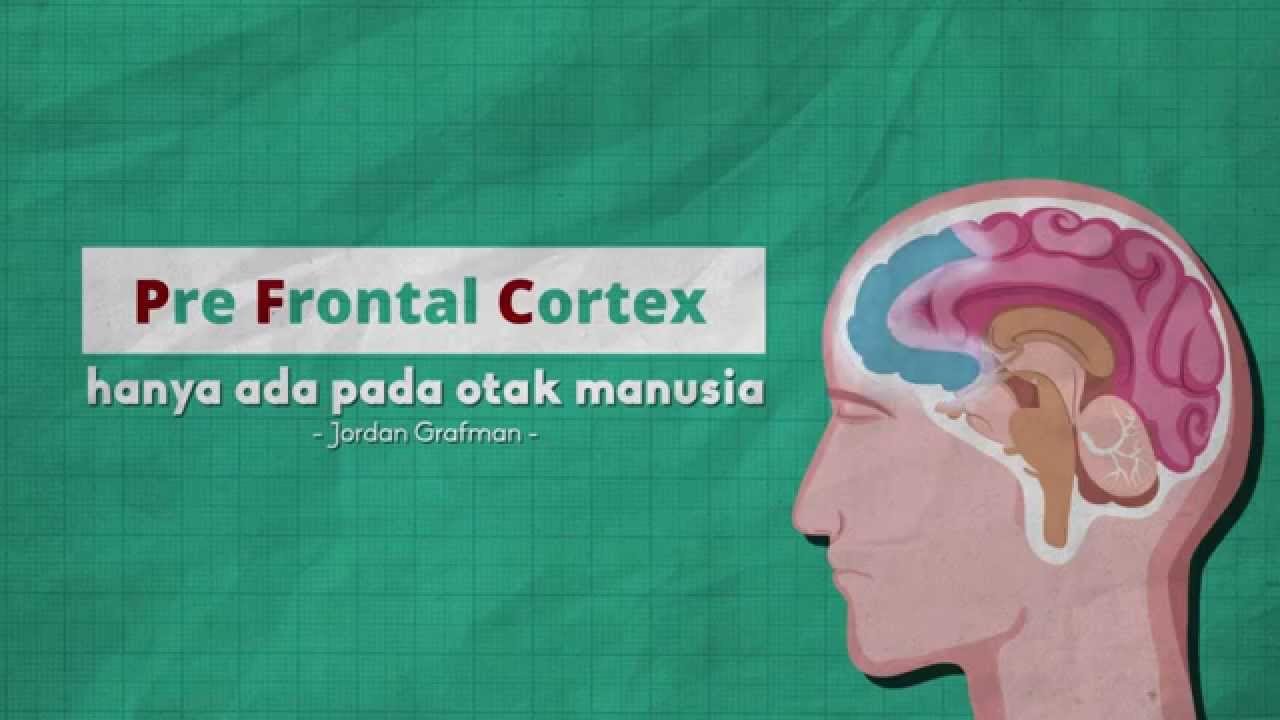 Detail Gambar Orang Sdg Pornografi Nomer 24