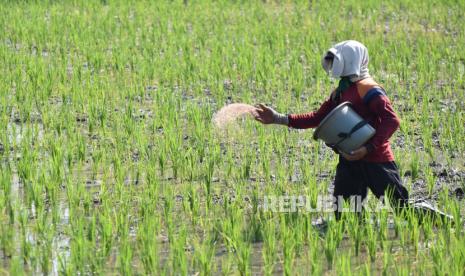 Detail Gambar Orang Yang Sedang Melakukan Pemupukan Nomer 5