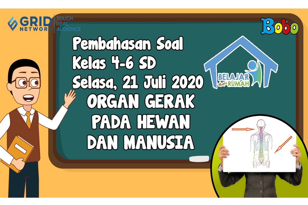 Detail Gambar Organ Gerak Hewan Dan Manusia Nomer 33