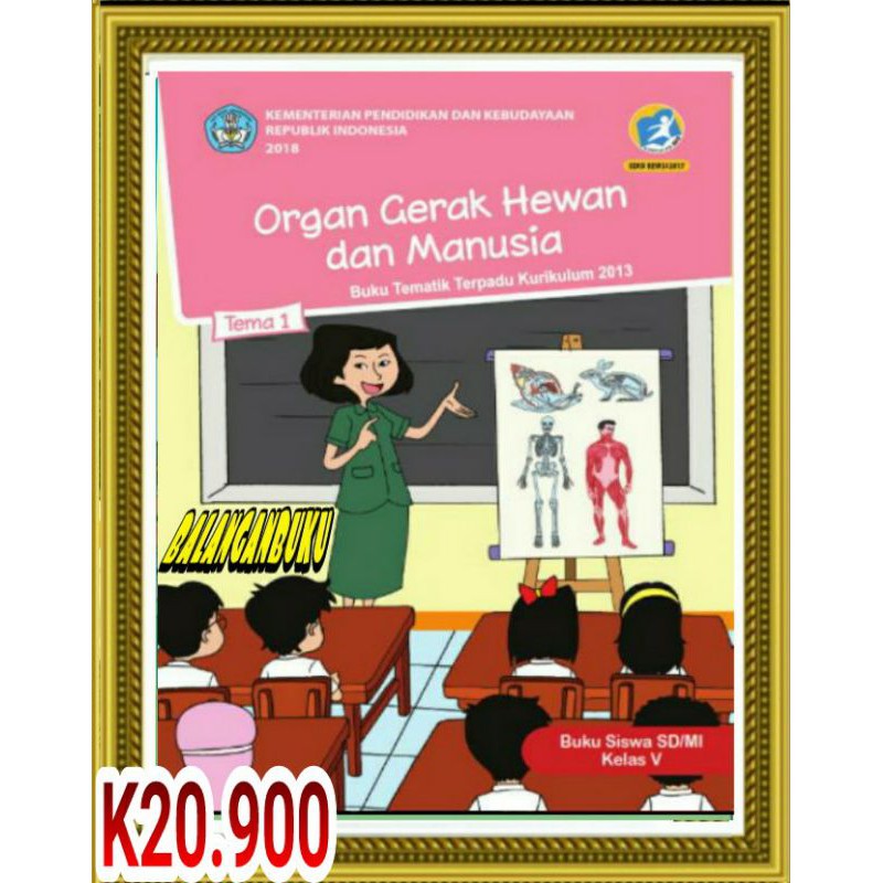 Detail Gambar Organ Gerak Hewan Dan Manusia Nomer 36